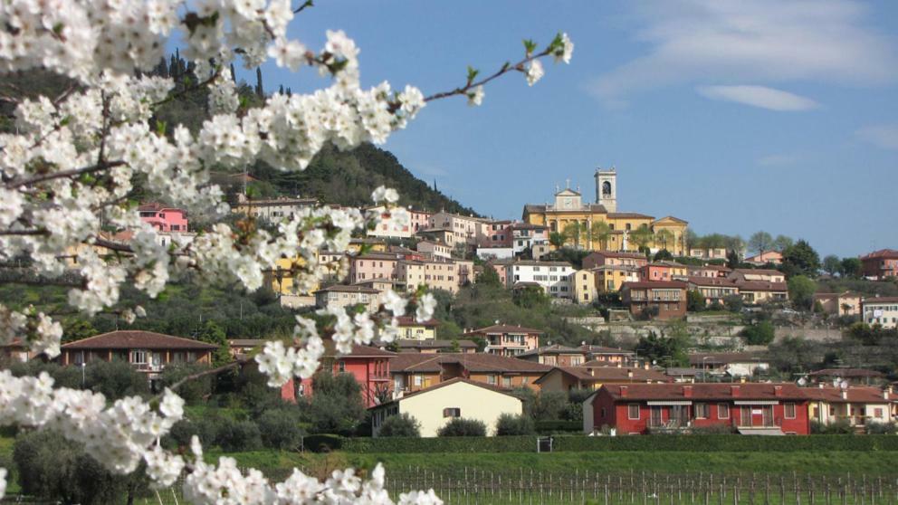 Aurora Bed & Breakfast Cavaion Veronese Dış mekan fotoğraf